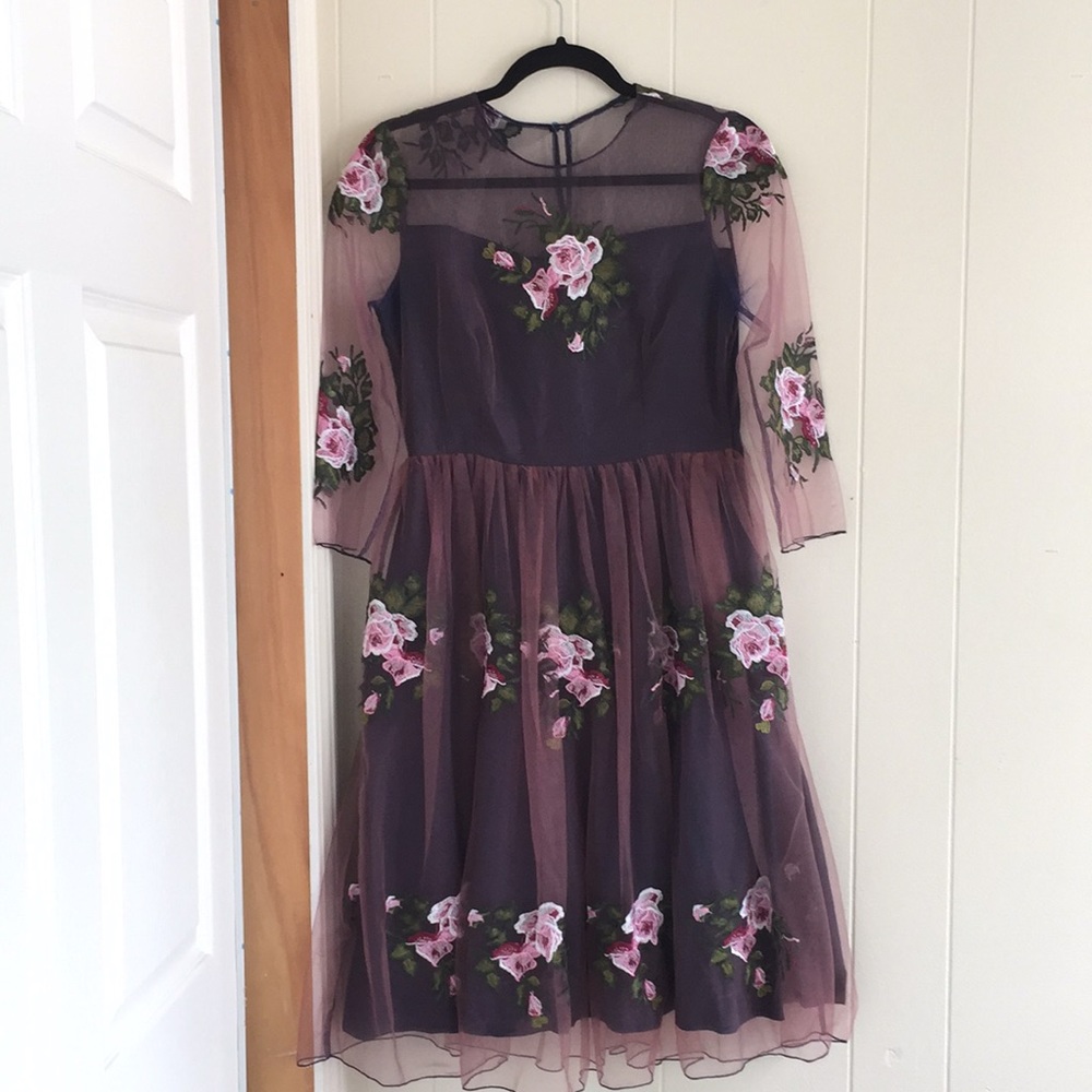 Worn Once! Cherished Rose Embroidered Mesh Dress